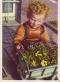 Мальчик и цветы